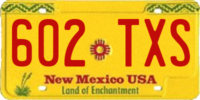 NM license plate 602TXS