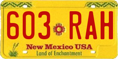 NM license plate 603RAH