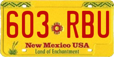 NM license plate 603RBU