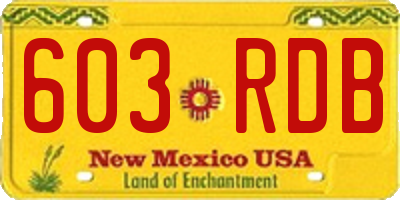 NM license plate 603RDB
