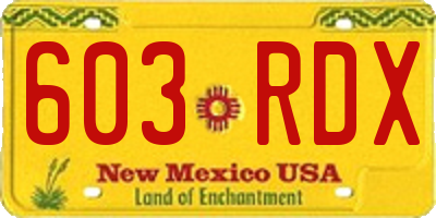 NM license plate 603RDX