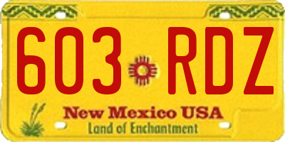 NM license plate 603RDZ