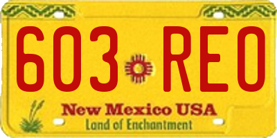 NM license plate 603REO