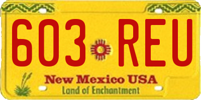 NM license plate 603REU