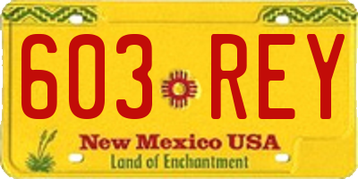 NM license plate 603REY