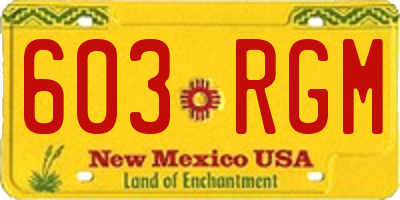NM license plate 603RGM