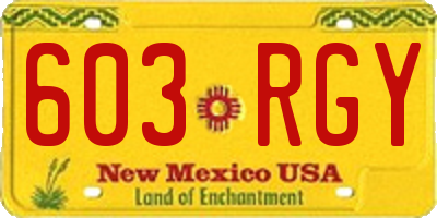 NM license plate 603RGY