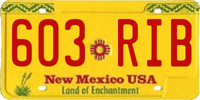 NM license plate 603RIB