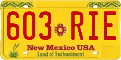 NM license plate 603RIE