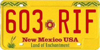 NM license plate 603RIF