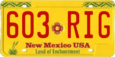 NM license plate 603RIG