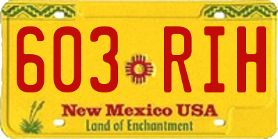NM license plate 603RIH