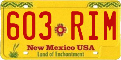 NM license plate 603RIM