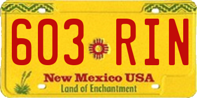 NM license plate 603RIN