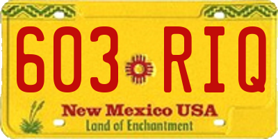 NM license plate 603RIQ