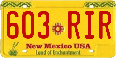 NM license plate 603RIR