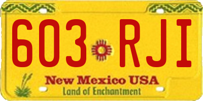 NM license plate 603RJI