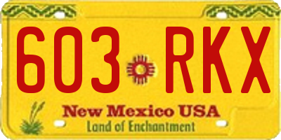 NM license plate 603RKX