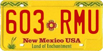 NM license plate 603RMU