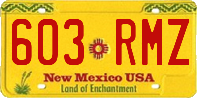 NM license plate 603RMZ