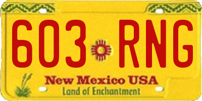 NM license plate 603RNG