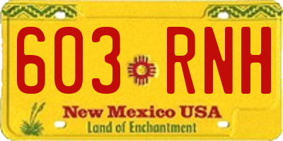 NM license plate 603RNH