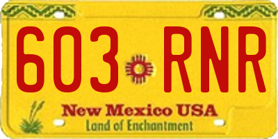 NM license plate 603RNR