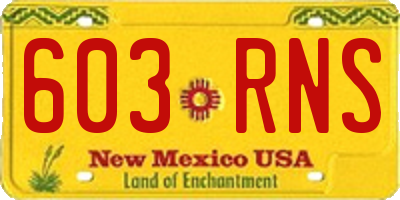 NM license plate 603RNS