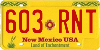 NM license plate 603RNT