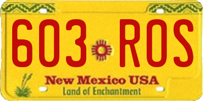 NM license plate 603ROS