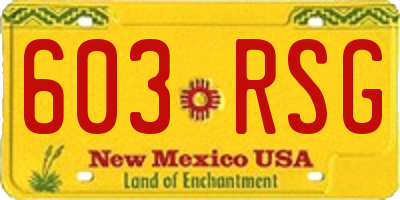 NM license plate 603RSG