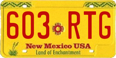 NM license plate 603RTG
