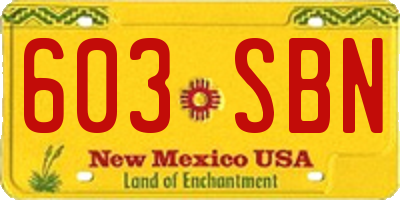 NM license plate 603SBN