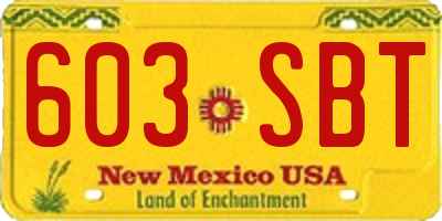 NM license plate 603SBT
