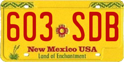 NM license plate 603SDB