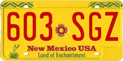 NM license plate 603SGZ