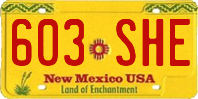 NM license plate 603SHE