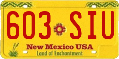 NM license plate 603SIU