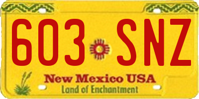NM license plate 603SNZ