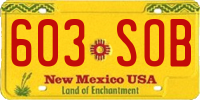 NM license plate 603SOB
