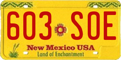 NM license plate 603SOE