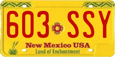 NM license plate 603SSY