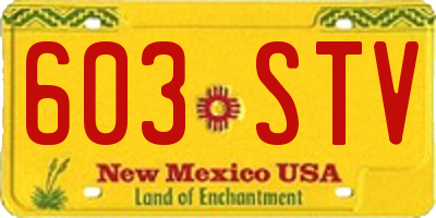 NM license plate 603STV