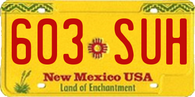 NM license plate 603SUH