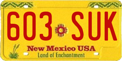 NM license plate 603SUK