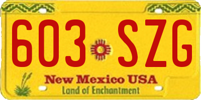 NM license plate 603SZG