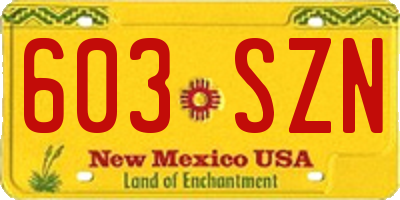 NM license plate 603SZN