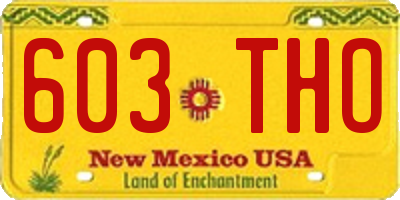 NM license plate 603THO