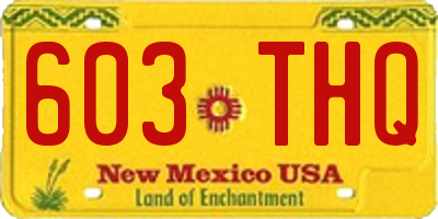 NM license plate 603THQ