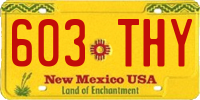 NM license plate 603THY
